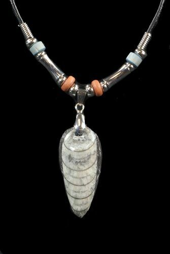 Fossil Orthoceras (Devonian Cephalopod) Necklace #43114